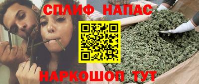 шишки Бузулук