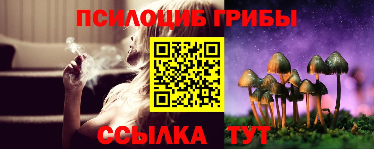 Галлюциногенные грибы MAGIC MUSHROOMS  Вход с VPN  Можга 